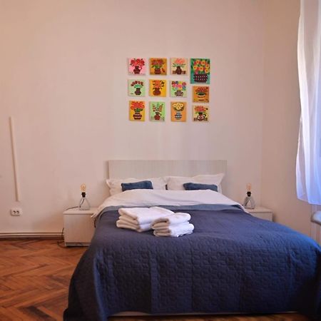 Travel And Music Apartment 蒂米什瓦拉 外观 照片