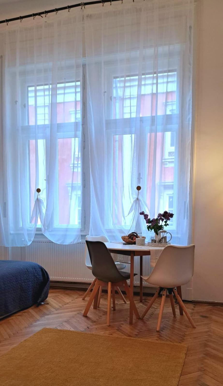 Travel And Music Apartment 蒂米什瓦拉 外观 照片