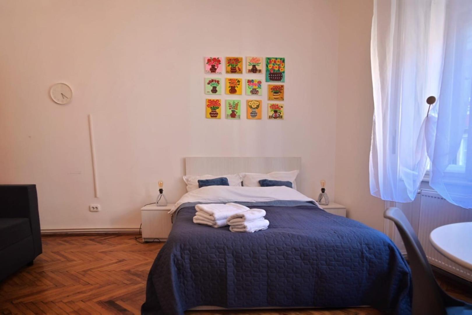 Travel And Music Apartment 蒂米什瓦拉 外观 照片