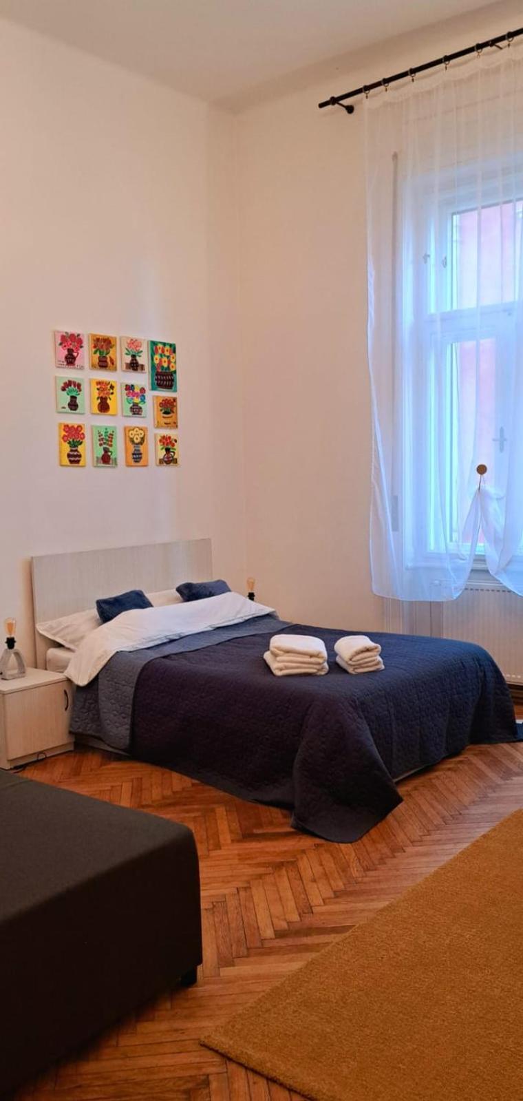 Travel And Music Apartment 蒂米什瓦拉 外观 照片