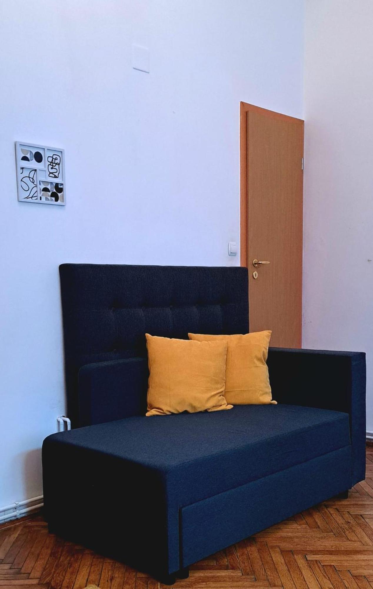 Travel And Music Apartment 蒂米什瓦拉 外观 照片