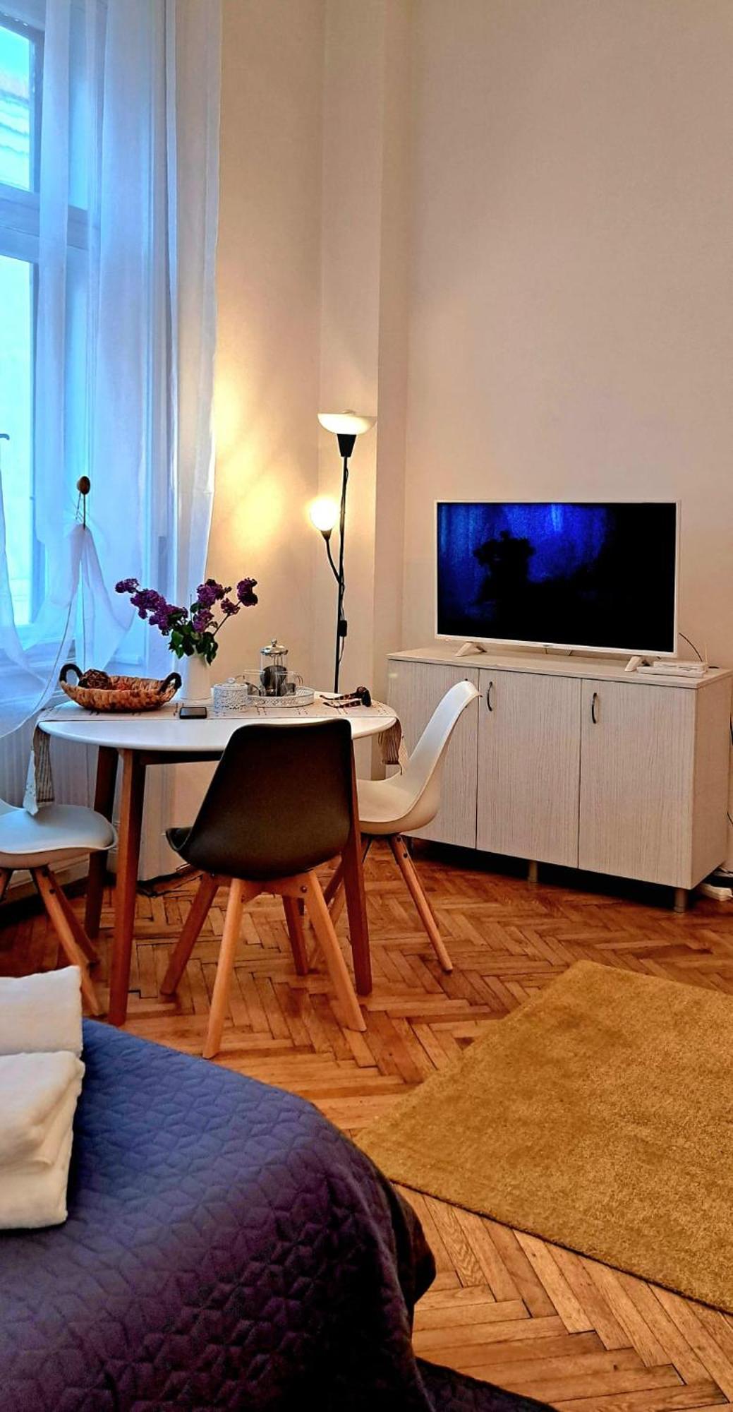 Travel And Music Apartment 蒂米什瓦拉 外观 照片